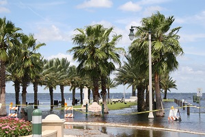 flooded park